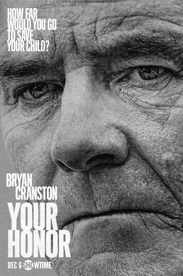 Your Honor Saison 1 en streaming